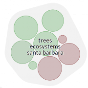 Single Cluster with Sentiment Color Coding