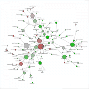 Thumbnail / Social Network Analysis (SNA)