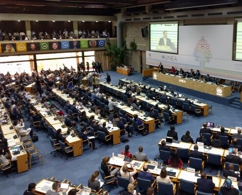 UNEA2 Summit Plenary Session