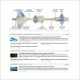 Story Graph / Streamgraph Thumbnail